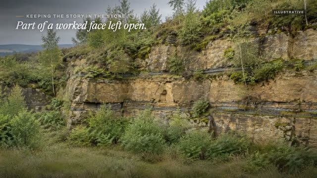 A still from the Bazel Minerals film